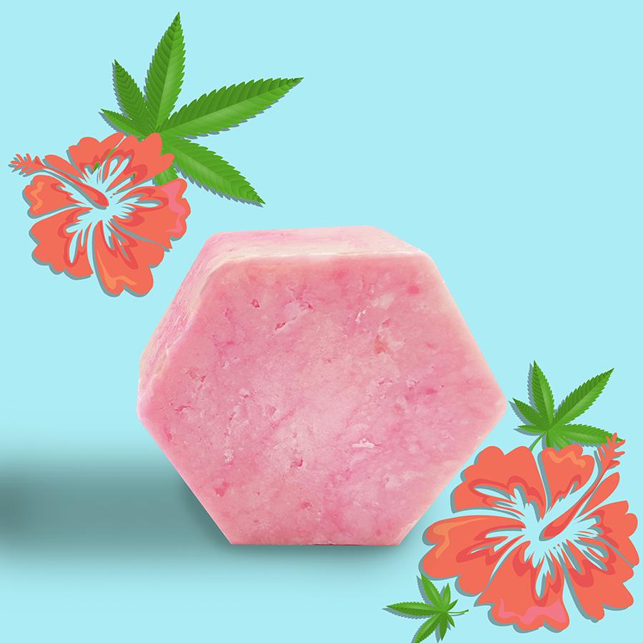 Shampoo Bar – Hemp & Hibiscus